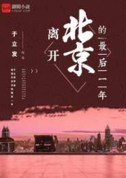 离开北京的最后一年小说下载