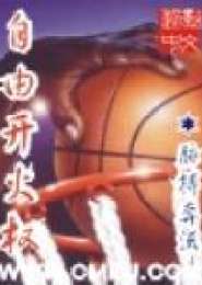 职业篮球风云－－－自由开火权小说下载