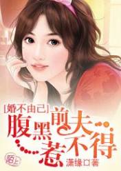 婚不由己:腹黑前夫惹不得