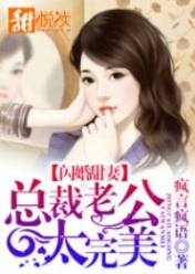 闪婚甜妻:总裁老公太完美