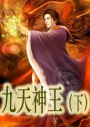 九天神王(下)