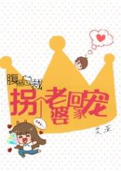 腹黑总裁,拐个老婆回家宠