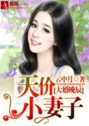 大婚晚辰,天价小妻子