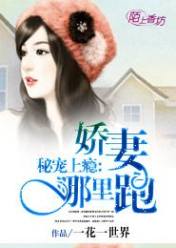 秘宠上瘾:娇妻哪里跑