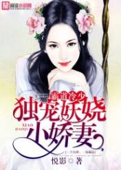 霸道冷少:独宠妖娆小娇妻