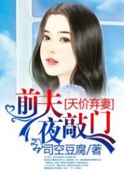 天价弃妻:前夫夜敲门