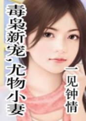 毒枭新宠,尤物小妻