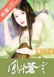 凤斗苍穹