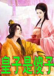 皇子是傻子