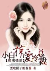 换魂锁爱:小白掠爱