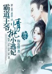 霸道王爷:情挑小逃妃
