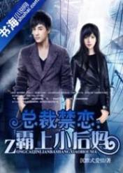 总裁禁恋:霸上小后妈