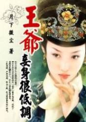 王爷,妾身很低调