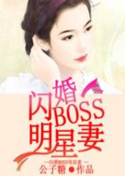 闪婚Boss明星妻电子书下载