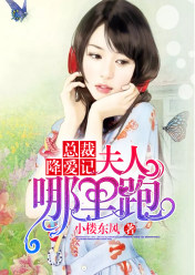 总裁降爱记:夫人哪里跑