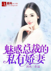 魅惑总裁的私有娇妻