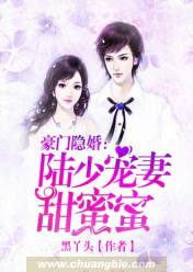 豪门隐婚:陆少宠妻甜蜜蜜