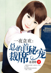 一夜贪欢:总裁的首席秘宠