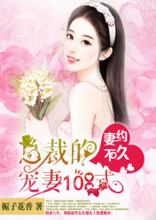 妻约不久:总裁的宠妻108式